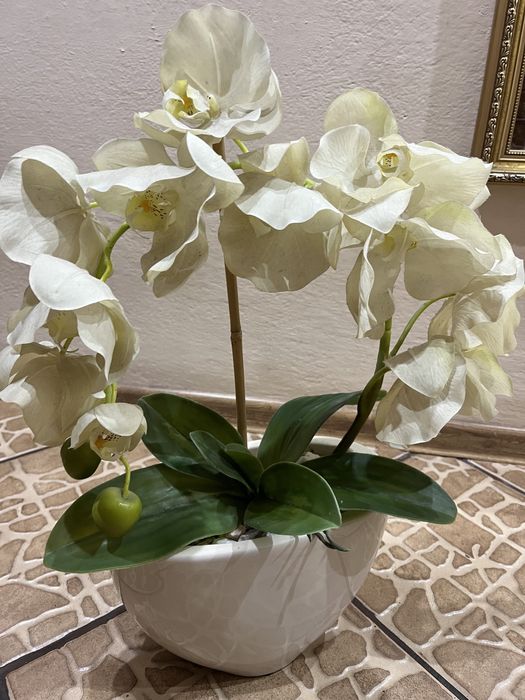 Storczyk sztuczny w doniczce ceramicznej