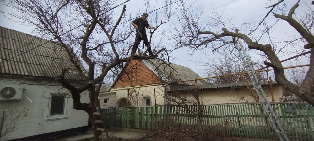 Культивация мотоблоком,уборка участка, дробление,обрезка деревьев