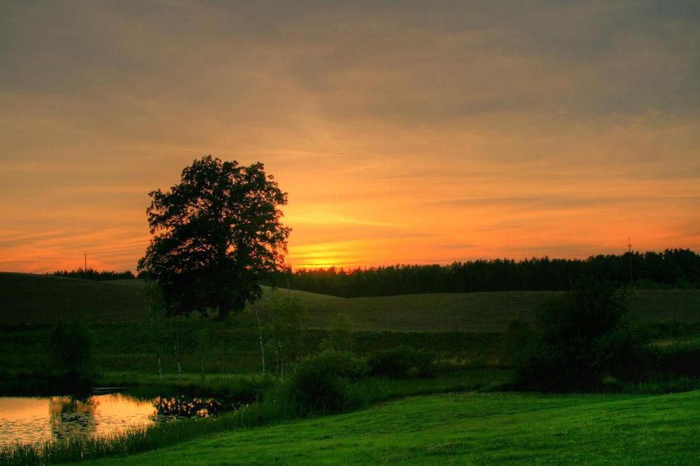 Wolne terminy dom domek do wynajęcia jeziorem staw ryby agroturystyka