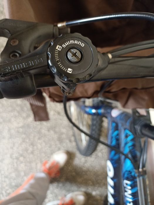 Rower górski Quasar