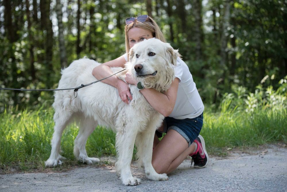 MAGNETO - piękny kawaler w typie owczarka podhalańskiego