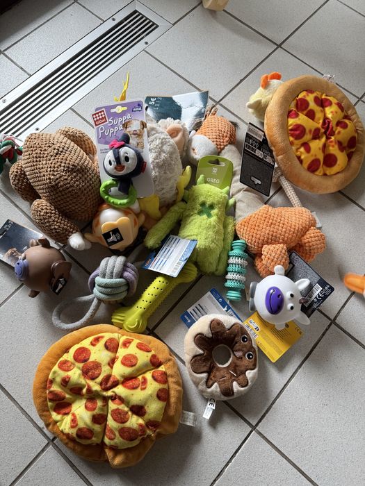 Игрушки амуниция для собак одежда