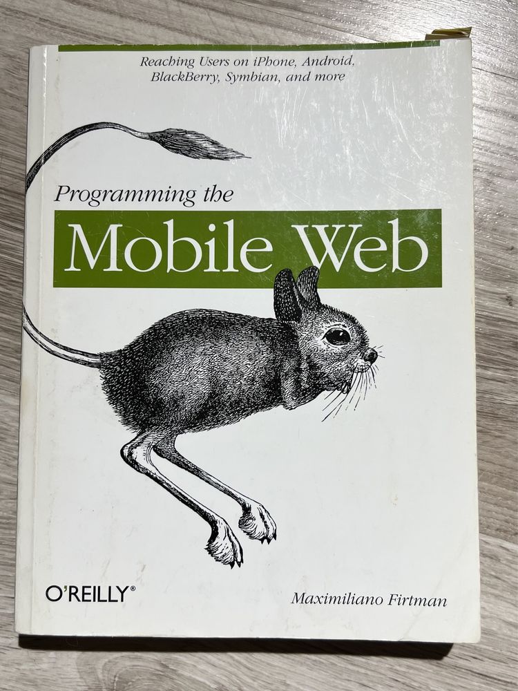 Książka Programming The Mobile Web