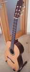 Guitarra Paco Castillo 204