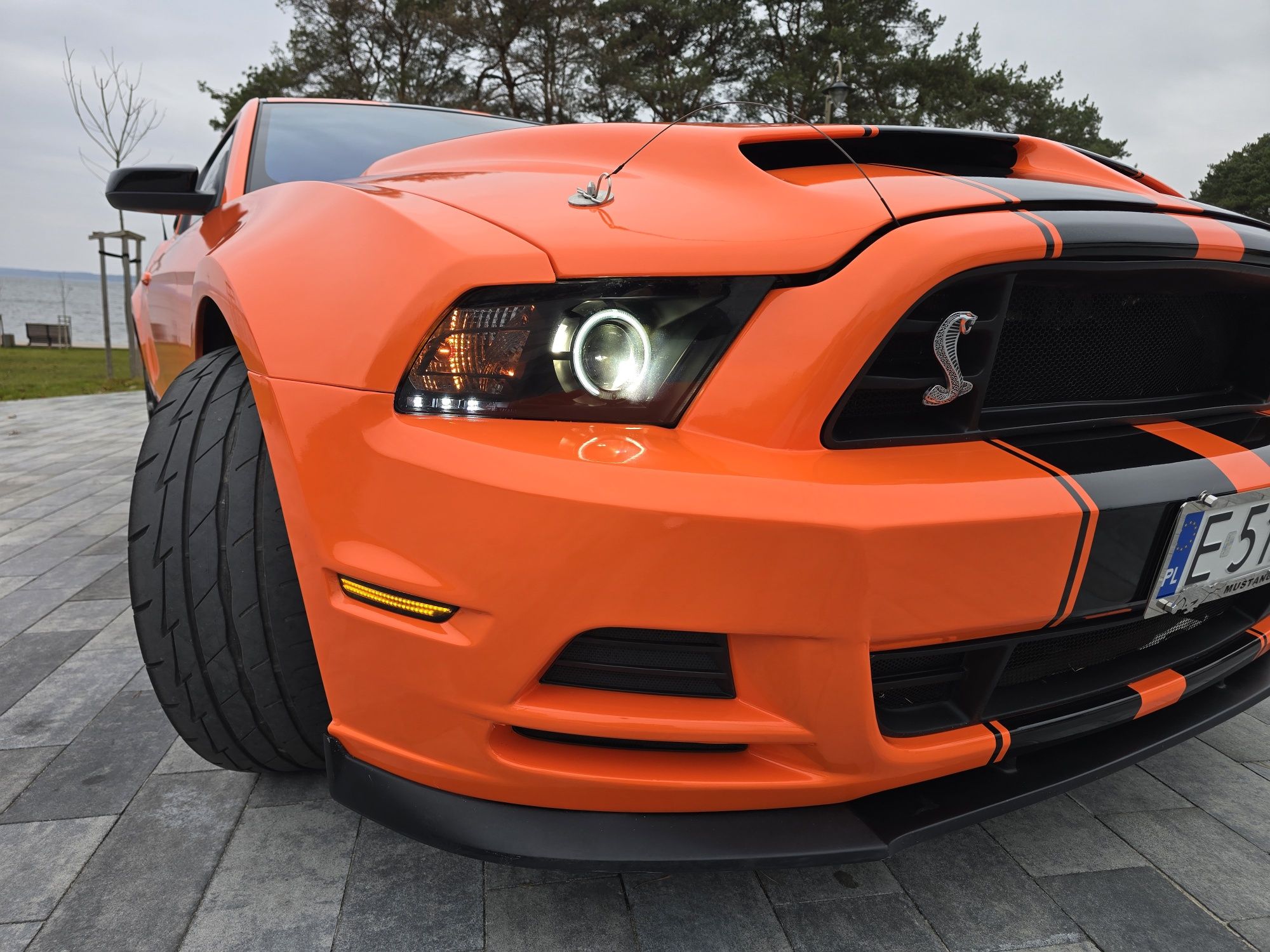 Do sprzedania Ford Mustang