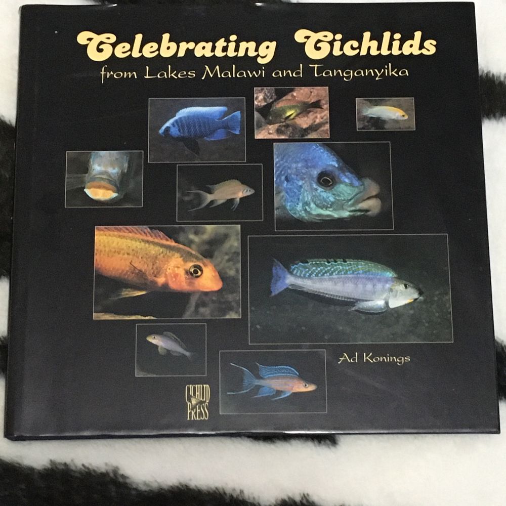 Celebrating Cichlids from Lakes Malawi and Tanganyika