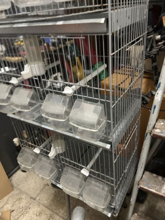 Viveiro para criacao com oito divisorias