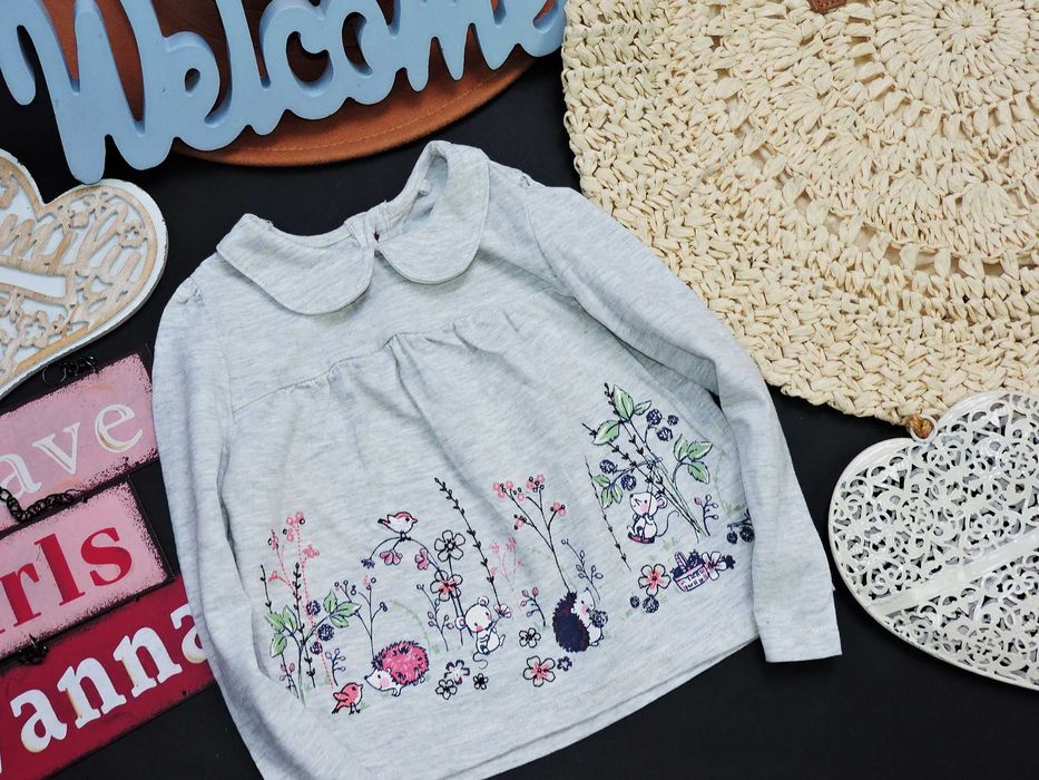 TU - bluzeczka przyjaciele z lasu , kołnierzyk r 74/80