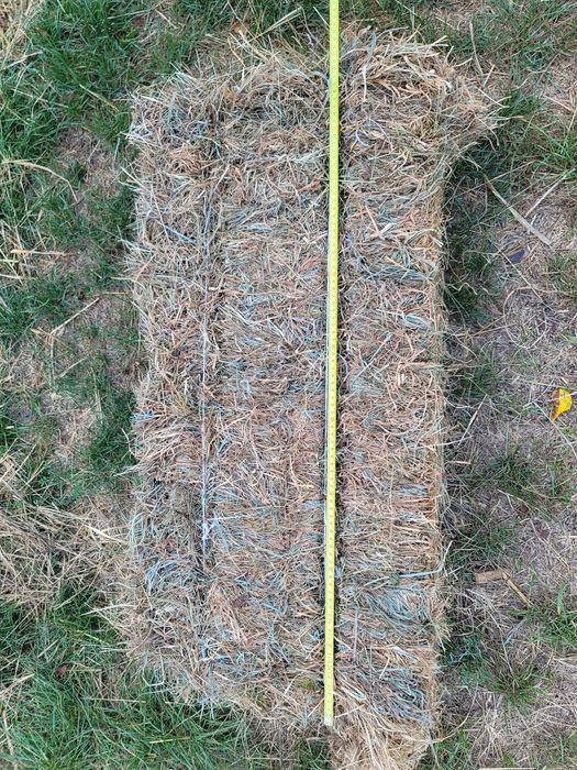 Сіно в тюках 2025 (солома, пшениця)