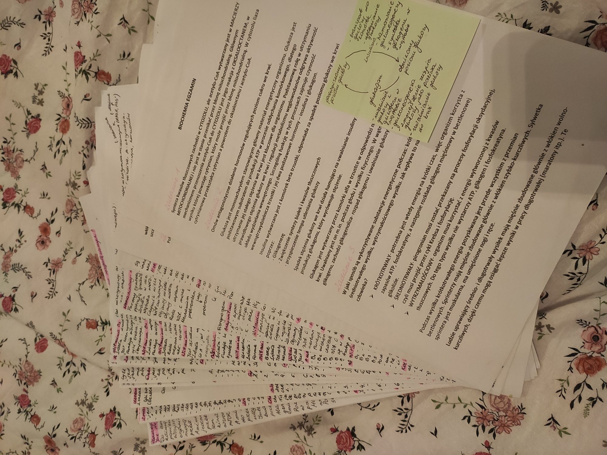 Biochemia notatki na studia