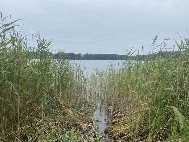 Działka z linią brzegową nad jeziorem Grzymisławskim