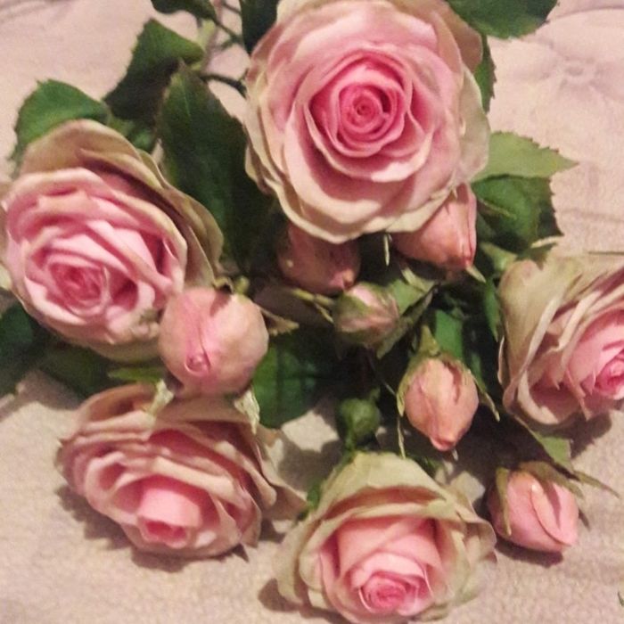 Шикарные розы ручной работы из холодного фарфора