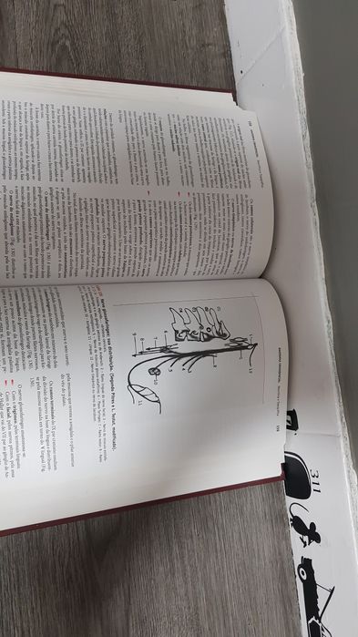 Livro anatomia cranio facial