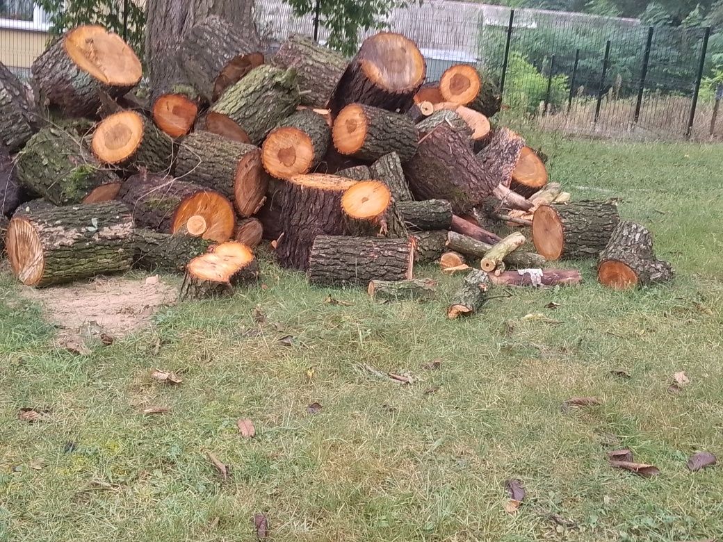 Olszyna podsuszoną  sprzedam 200 zł za metr