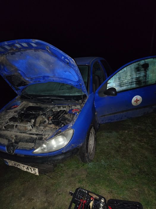 Пижик почти робочій