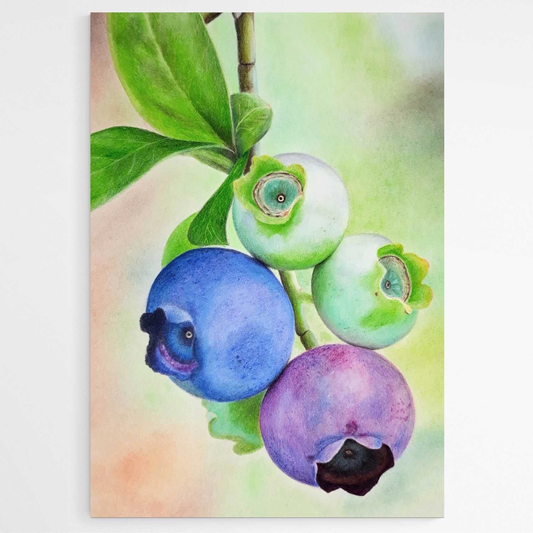 Rysunek kredkami obraz 21x30 martwa natura, borówki