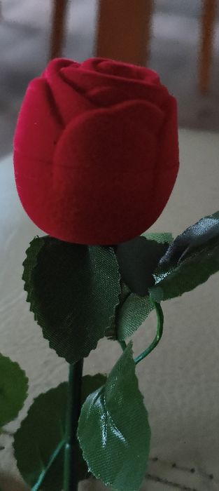 Rosa para anel de noivado