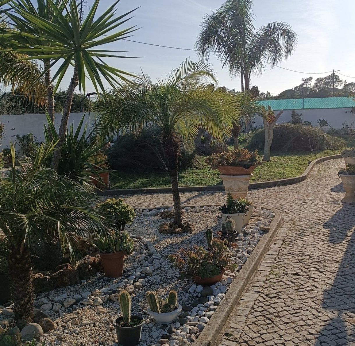 Manutenção e Jardinagem