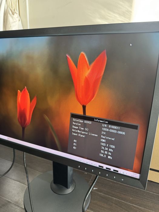 Eizo coloredge 2420 | 314 godzin pracy | jak nowy | monitor graficzny