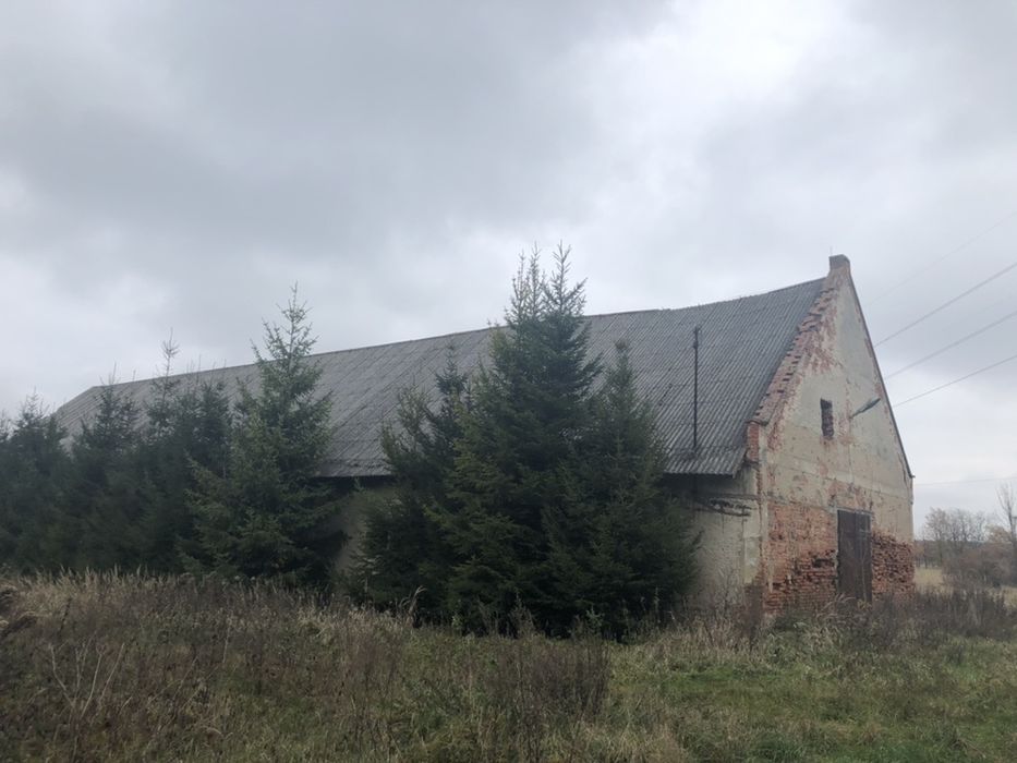 Sprzedam działkę z budynkami (PGR)