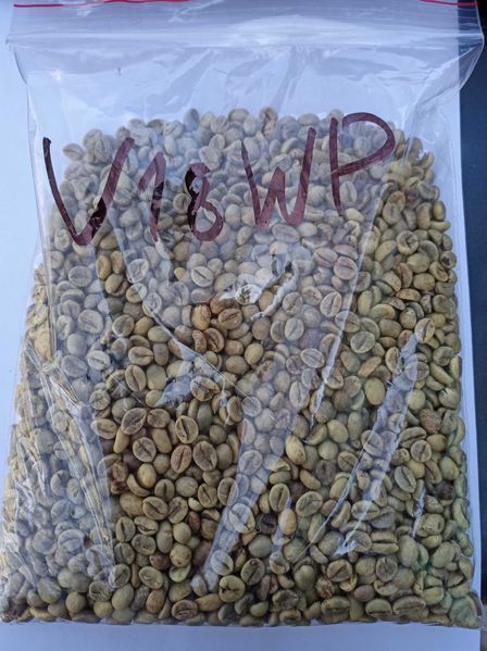 Крепкий зерновой кофе в зернах, Индонезия цена производителя, кава