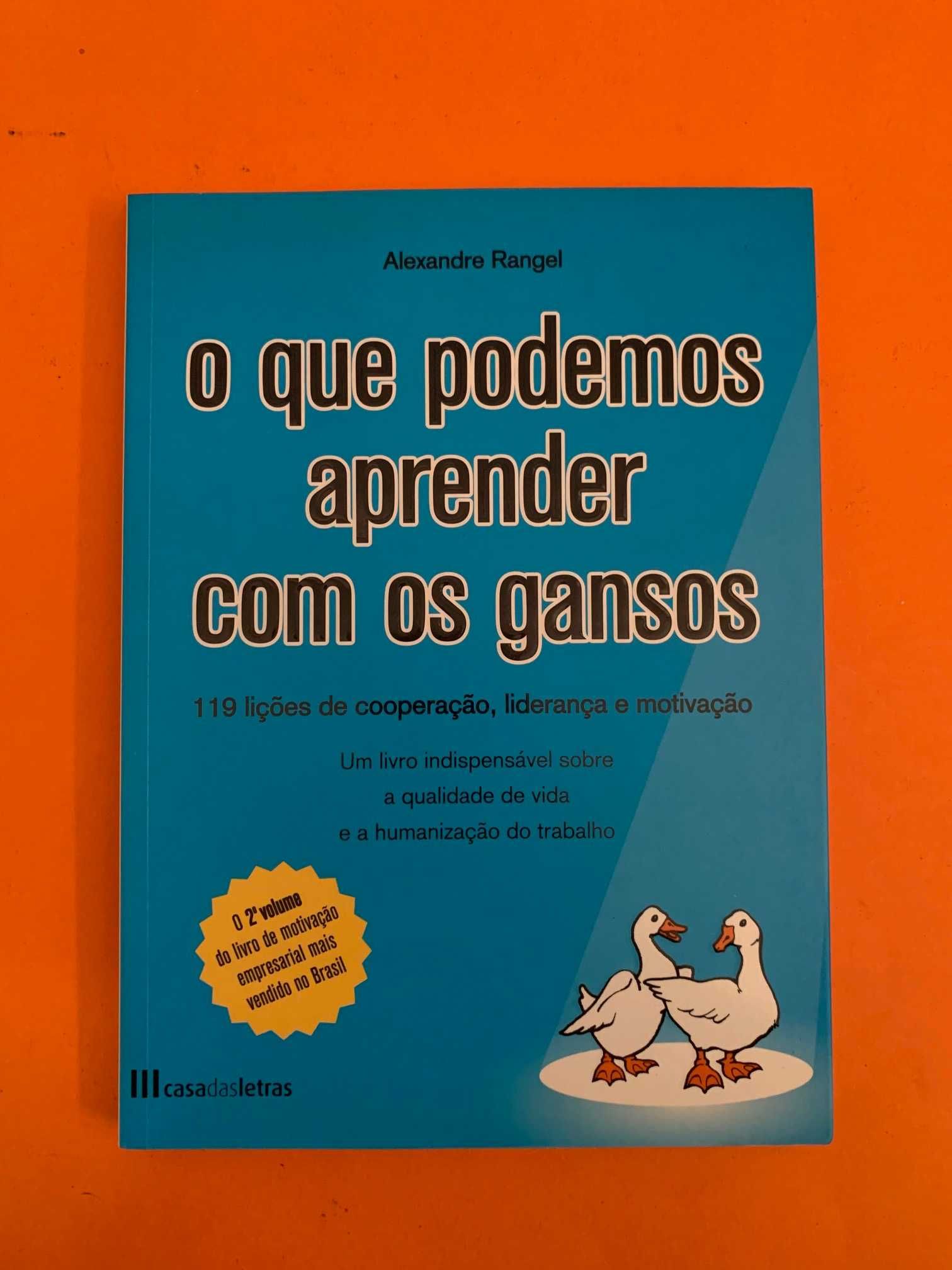 O que podemos aprender com os gansos, 2º volume - Alexandre Rangel