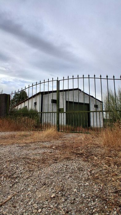 Terreno em São Miguel De Acha