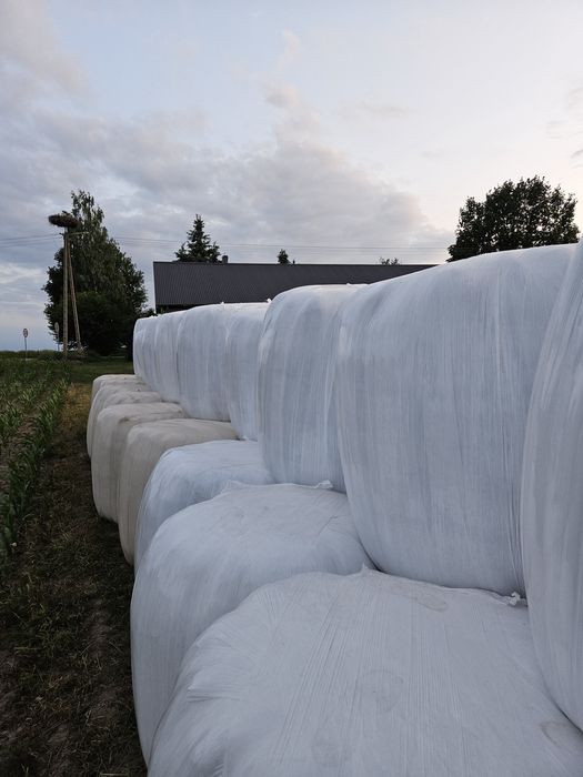 Sprzedam! Bele sianokiszonki 140zł/szt.