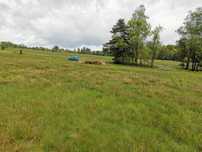 Działka budowlana 852m2, blisko lasu, Hucisko, gm. Stryszawa