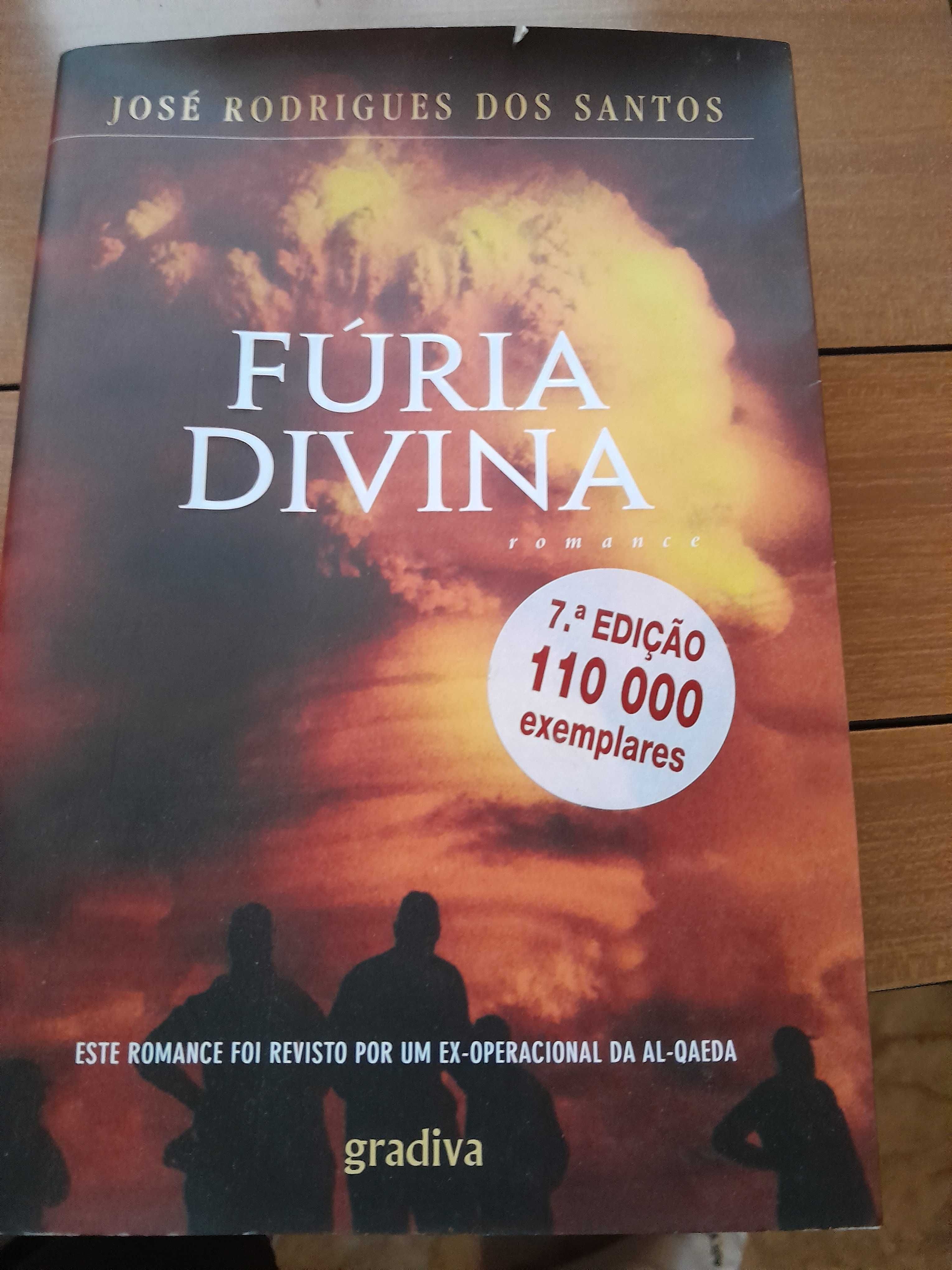 Livro Furia divina