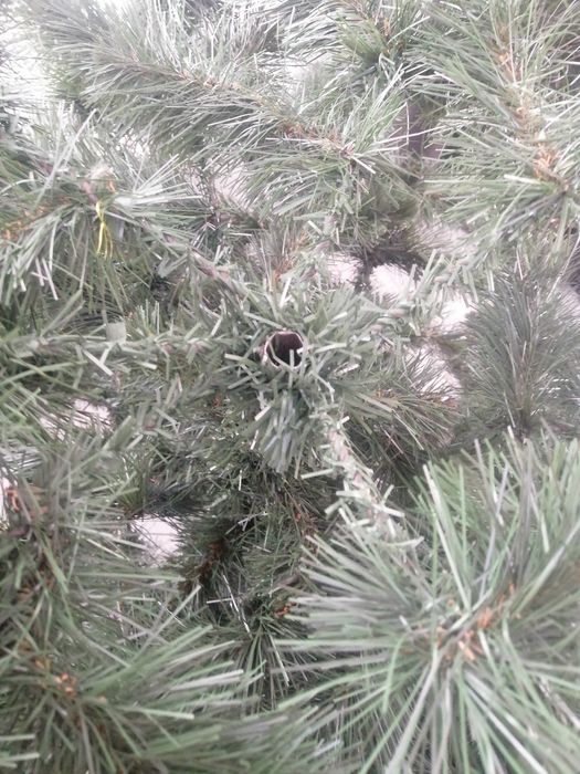Ялинка штучна (2м.30 см) б/у,