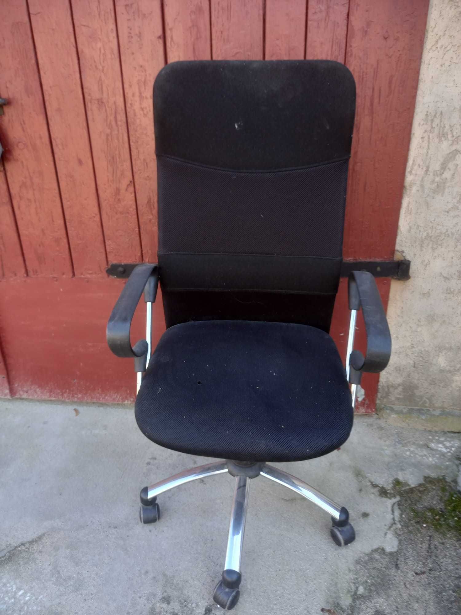 Fotele biurowe w różnych kolorach.