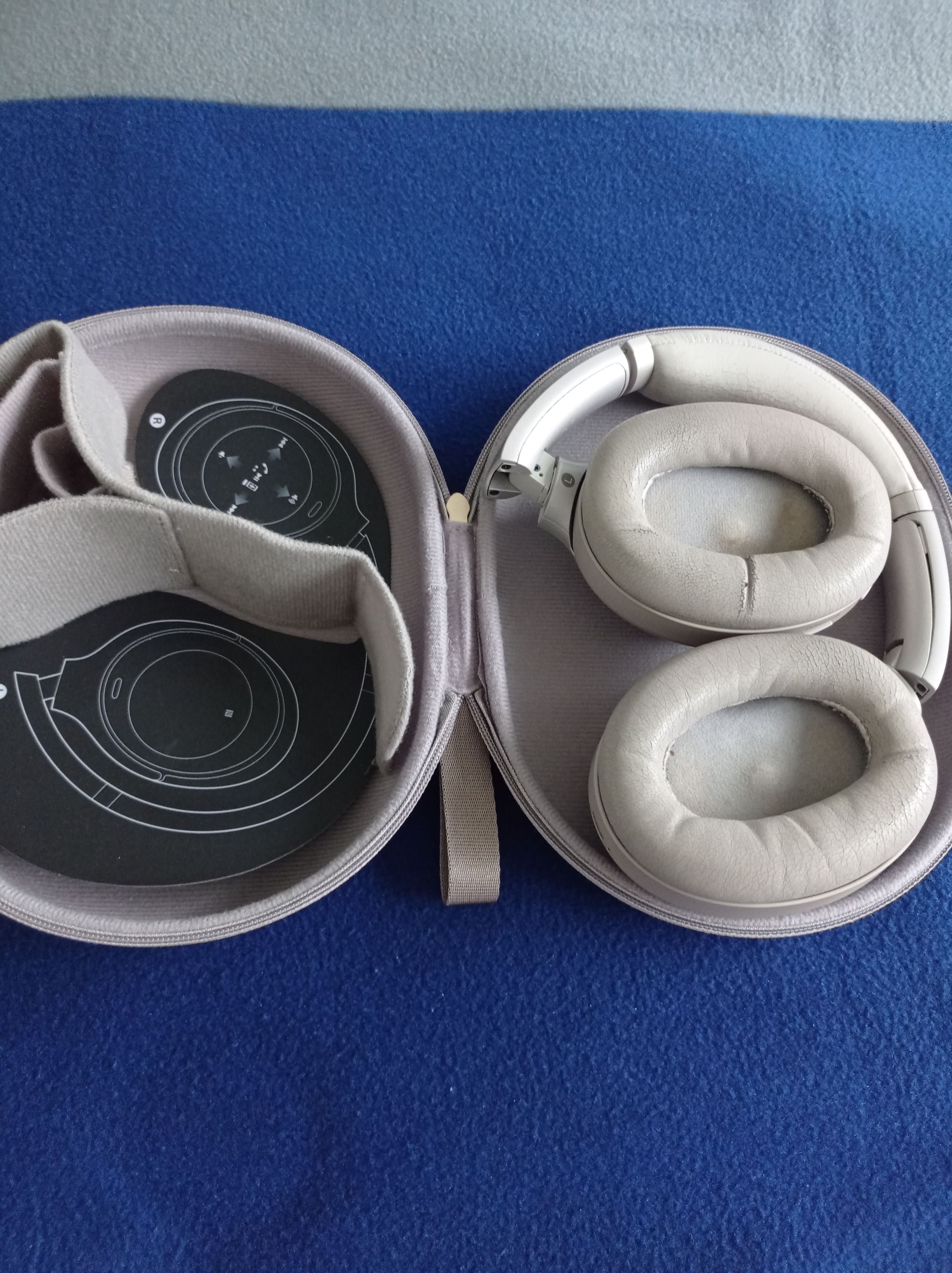Sony WX1000 Earphones