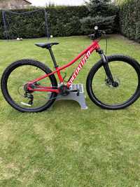 Specialized rockhopper