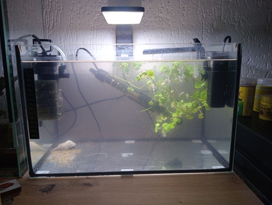 Akwarium 25l bez wyposażenia