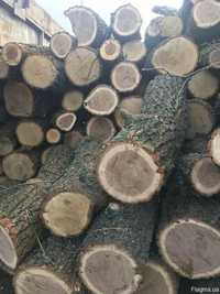 Продам дрова дубовые.