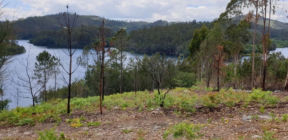 Terreno junto á Barragem do Ermal com novo preço