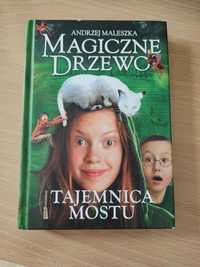 Magicznej Drzewo Tajemnica Mostu