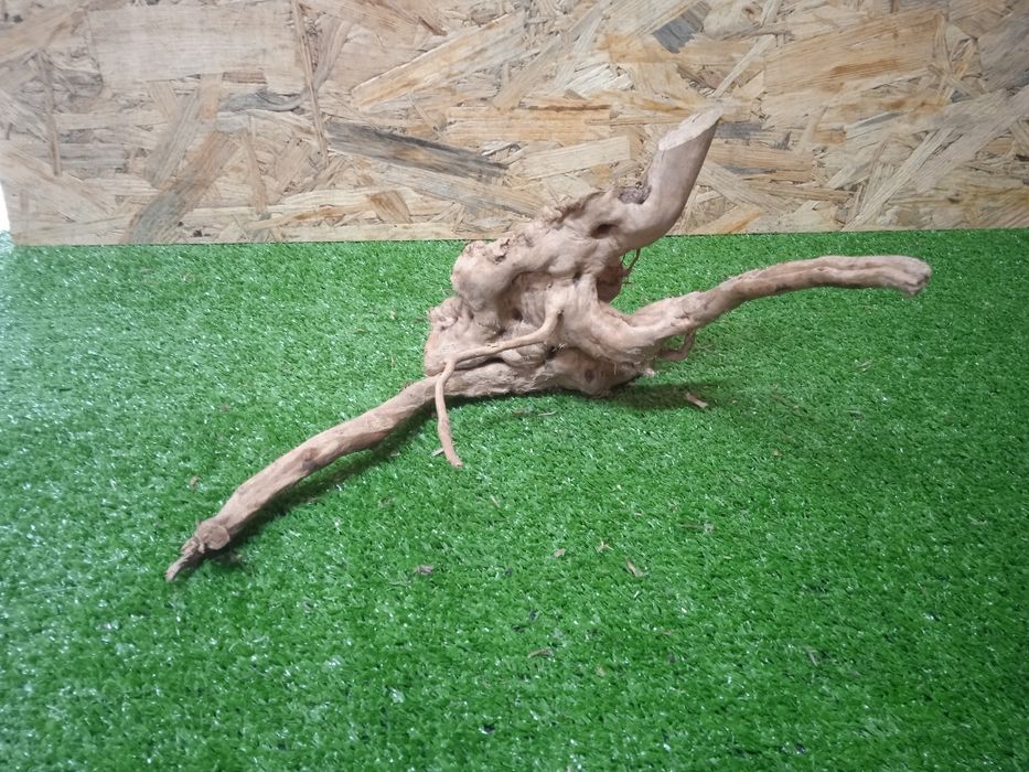 Korzeń do akwarium Red Moore Wood nr 268 o wymiarach 27/24/11