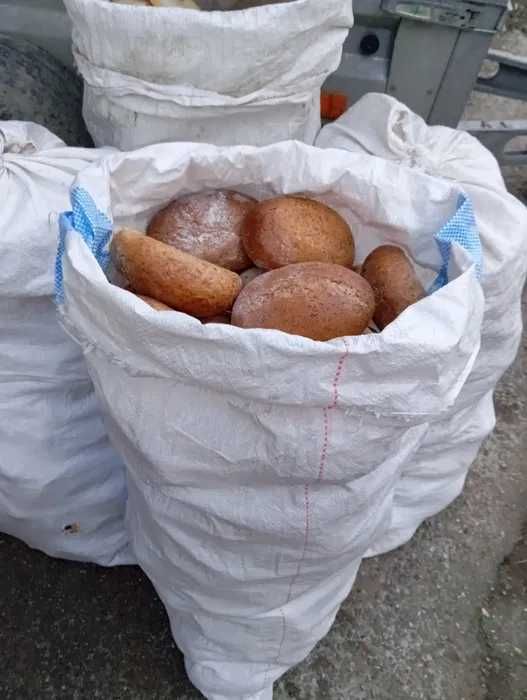 Sprzedam czerstwy chleb/bułki. Zwroty piekarnicze