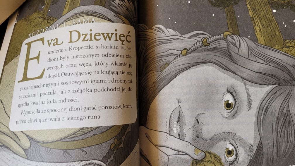 Czarla Poszukiwacze- Tony Diterlizzi