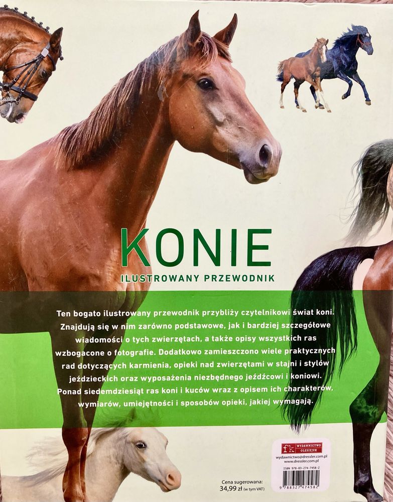 Konie- ilustrowany poradnik
