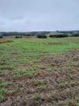 Sprzedam działkę budowlaną 1028 m2 Pomorskie ,Gołczewo  53 000 zł