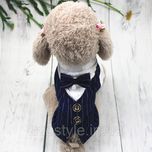 Праздничная одежда для собак Костюм Джентельмен