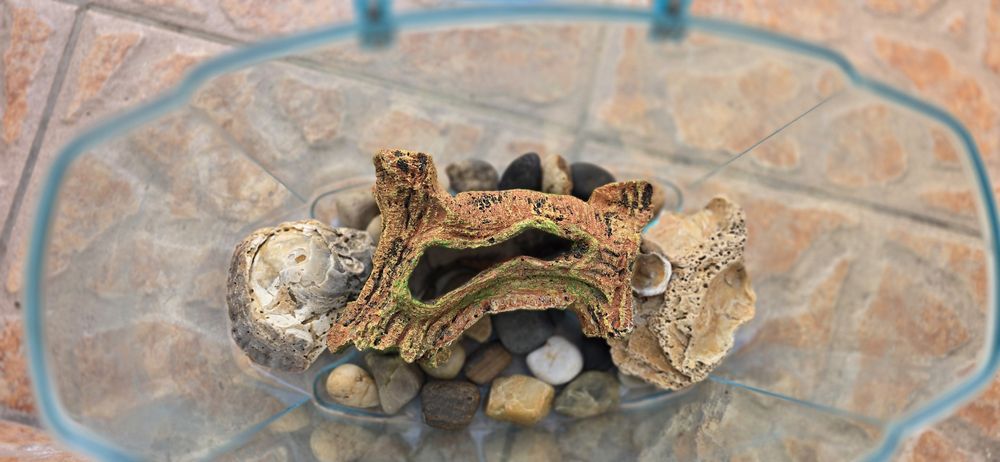 Aquário/terrário/reptilario "Living World"