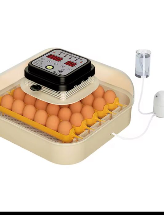 Chocadeira 30 ovos toda automatica