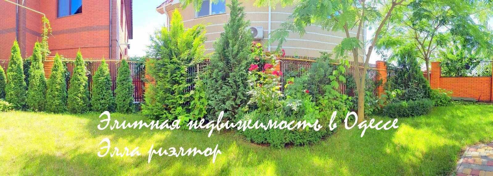 долгосрочно! Совиньон,  с 15 июля, уже показываем