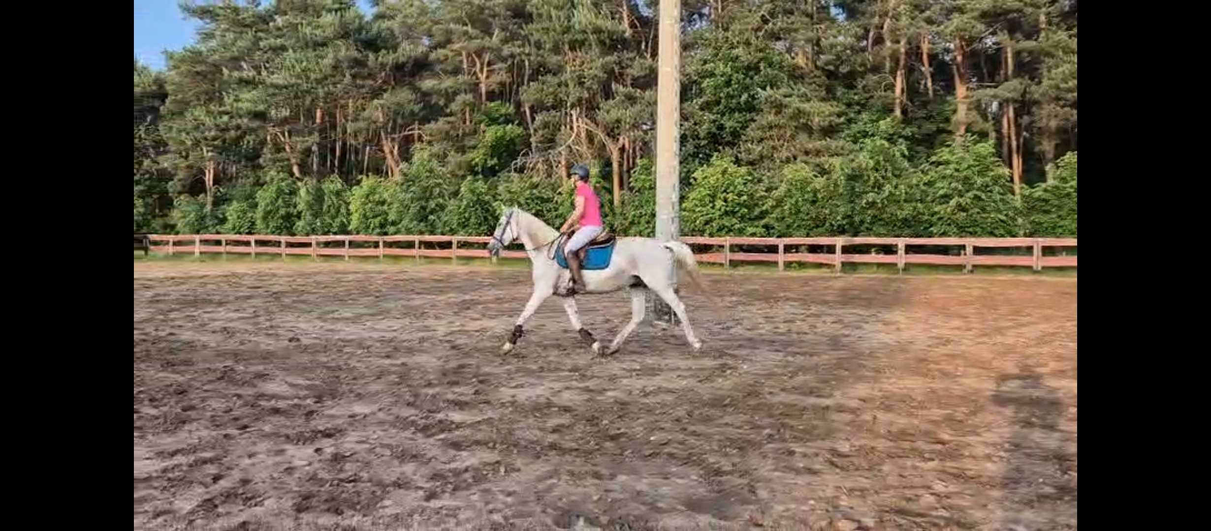Sprzedam Klacz lat 13