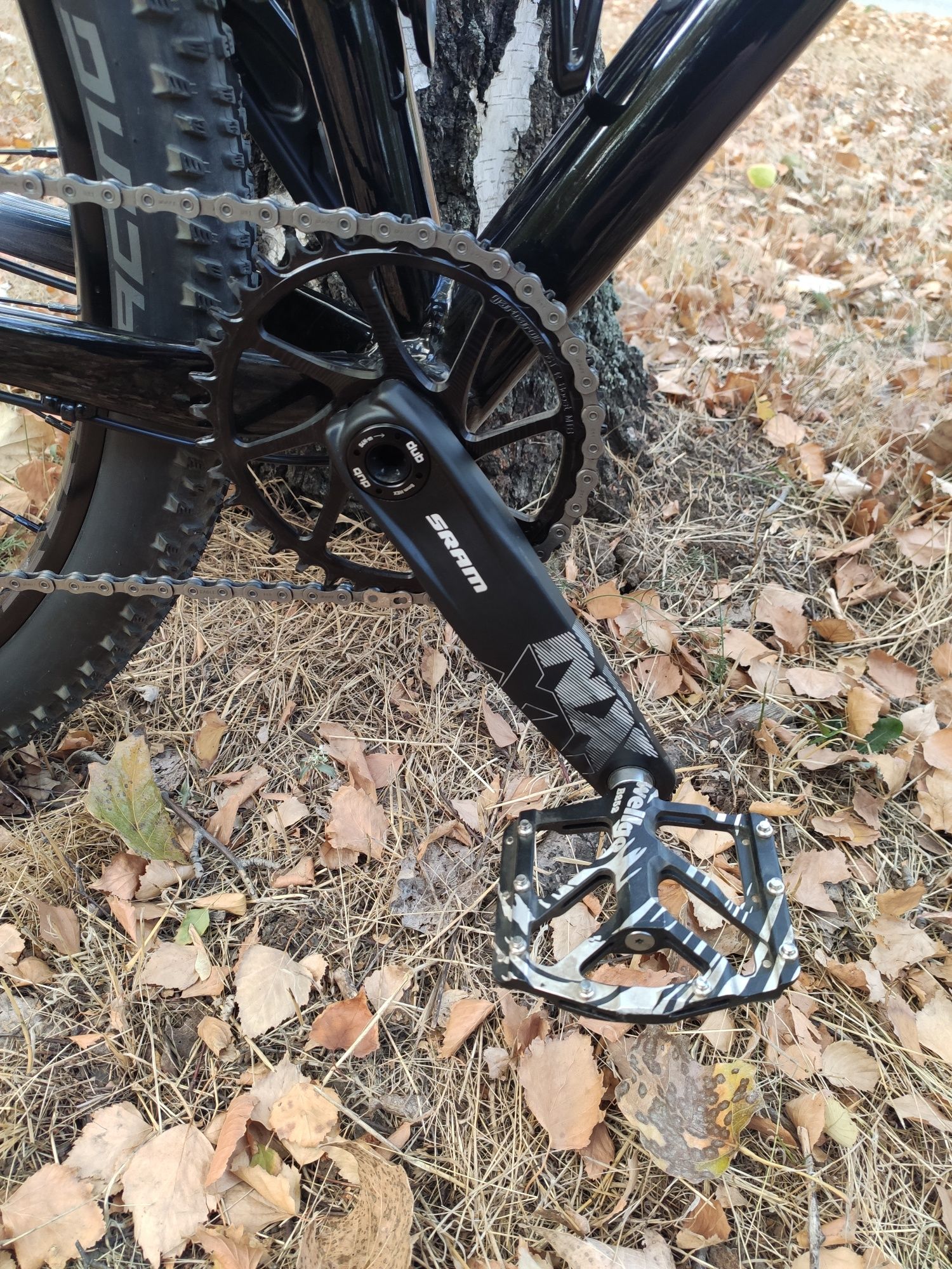 Саnnondale Trail SL 3