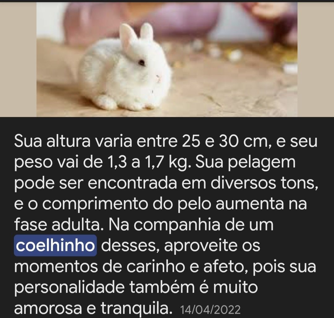 Coelhinhos  (mini toy)